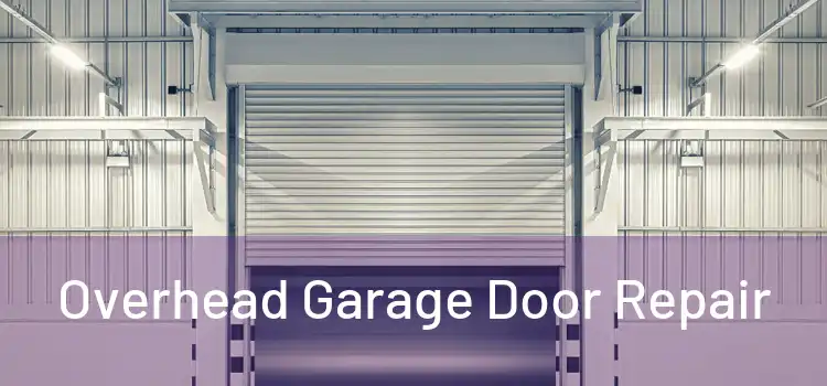 Overhead Garage Door Repair